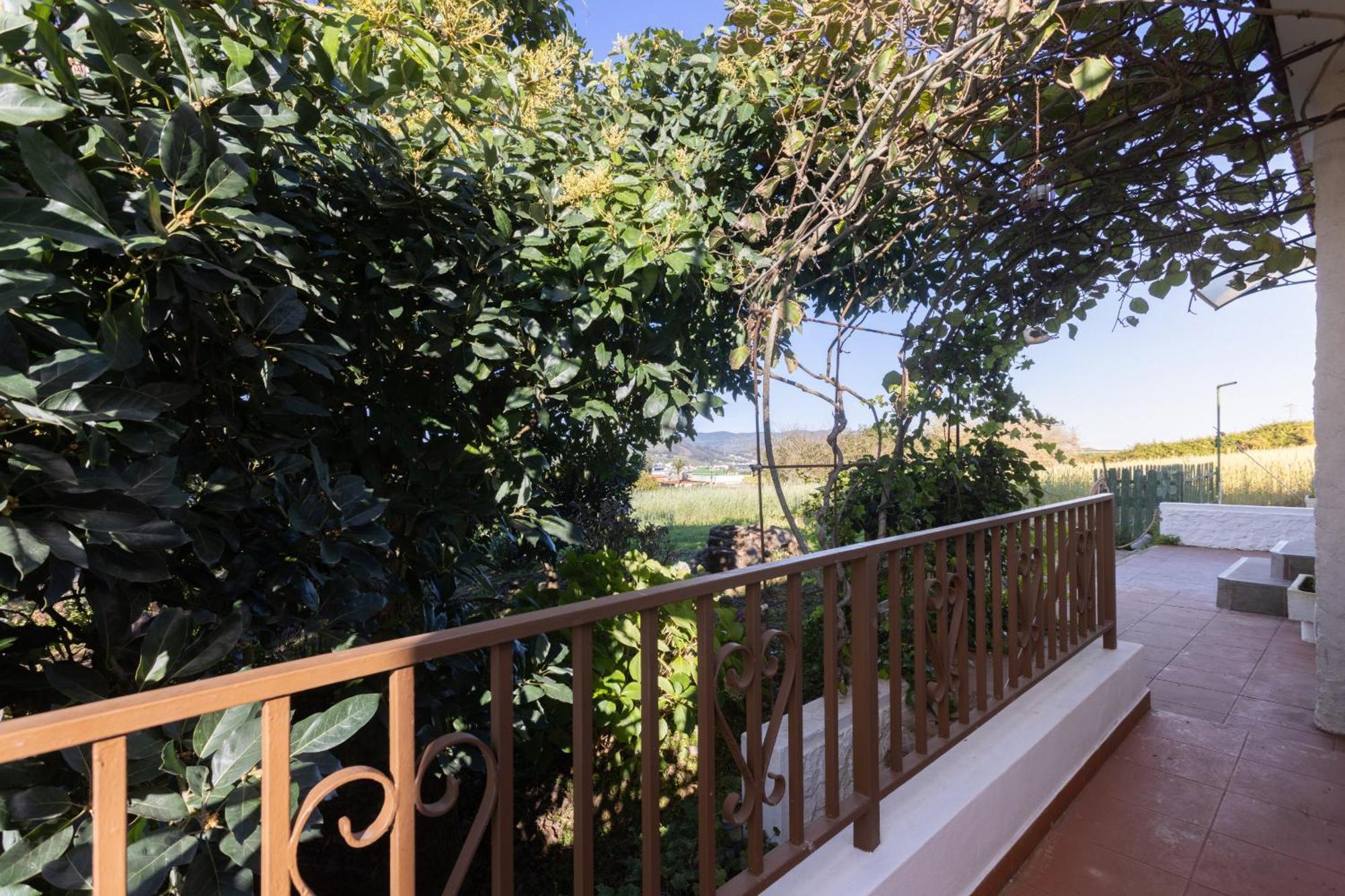 Lightbooking Casa De Campo Ortigal Tenerife La Esperanza  Екстер'єр фото