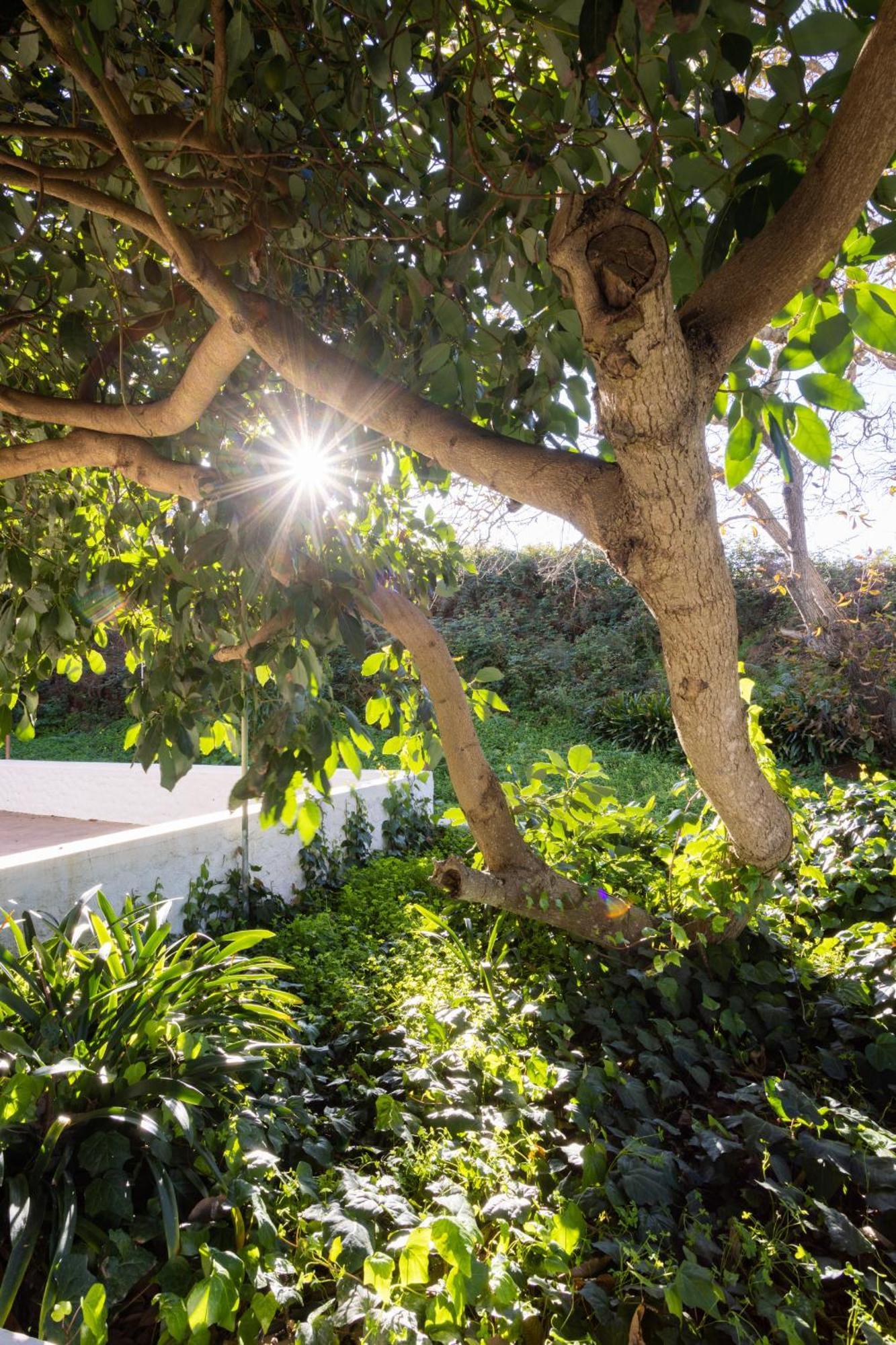 Lightbooking Casa De Campo Ortigal Tenerife La Esperanza  Екстер'єр фото